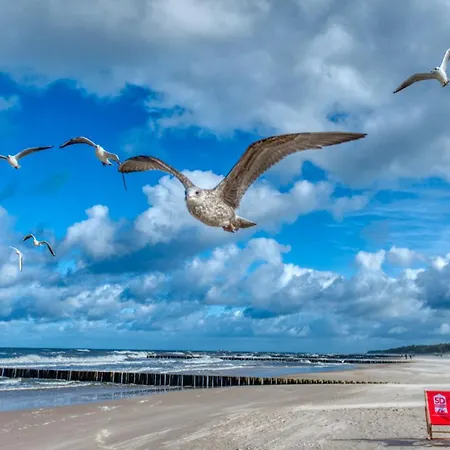 Apartman 224 Z Basenem, Sauna, Jacuzzi W Cenie - 5d *